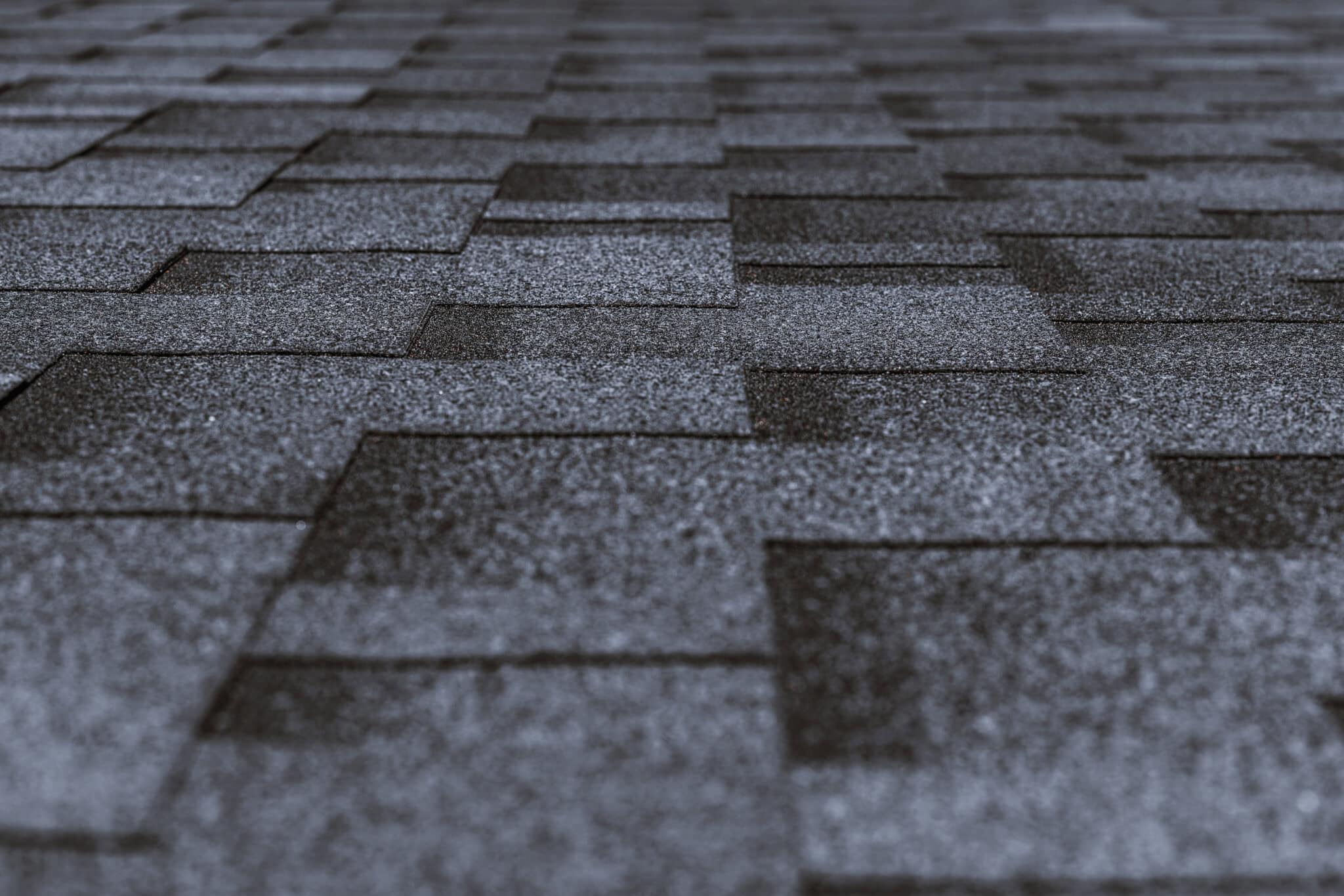 Shingle Roof - The Roofing Dudes