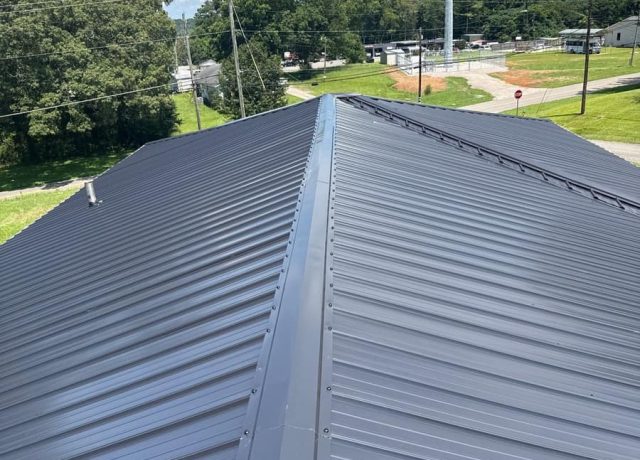 Rooftop view of the charcoal hip roof, its metal cap, a vent pipe and a tall tower